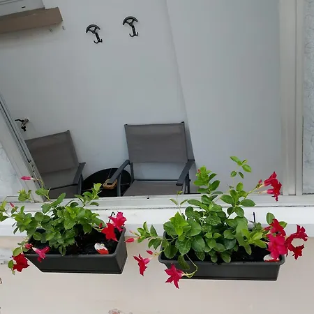 Appartement Orchidea
